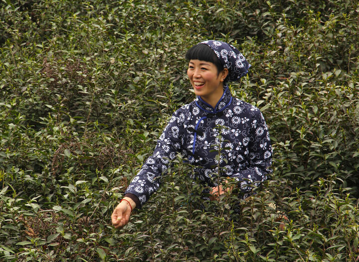 动漫直播5-在线观看不收费的直播
